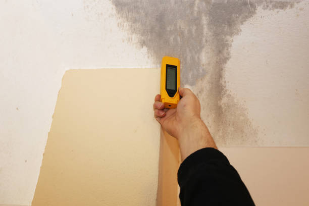 Nyssa, OR Mold Removal Company