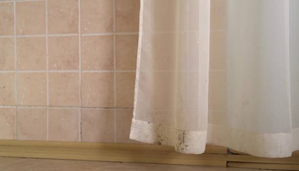 Best Mold-Related Health Consultation  in Nyssa, OR