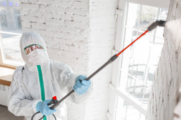 Best Biohazard Mold Removal  in Nyssa, OR