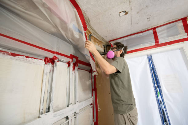 Mold Removal for HVAC Installations in Nyssa, OR