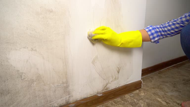 Best Emergency Mold Remediation  in Nyssa, OR