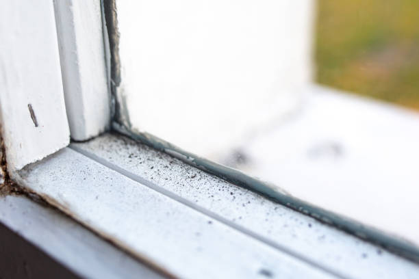 Best Mold Remediation for Healthcare Facilities  in Nyssa, OR