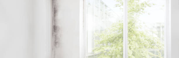 Best Mold Prevention Services  in Nyssa, OR